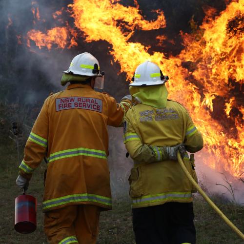 How You Can Donate To The Bushfire Appeal