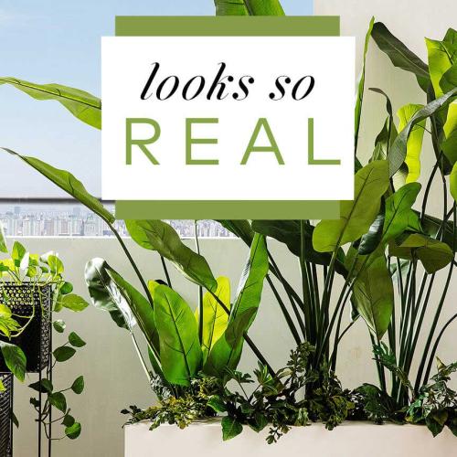 Four Reasons Why Faux Plants are the Real MVPs