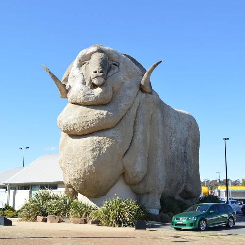 Take a Selfie in Front of The Big Sheep, and All the Other Things You Should do in Goulburn