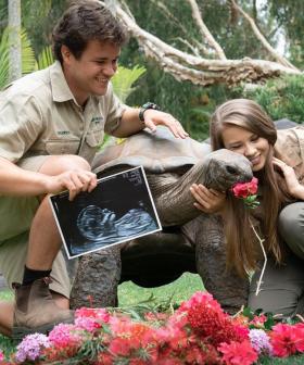 "You Are Our World": Bindi Irwin And Chandler Powell Reveal They Are Expecting A Girl!