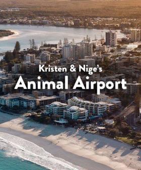 Kristen & Nige’s Animal Airport