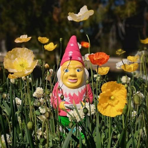 What’s on for the Last Week of Floriade Reimagined