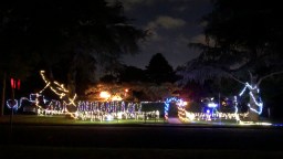 Currong Reid Christmas Lights