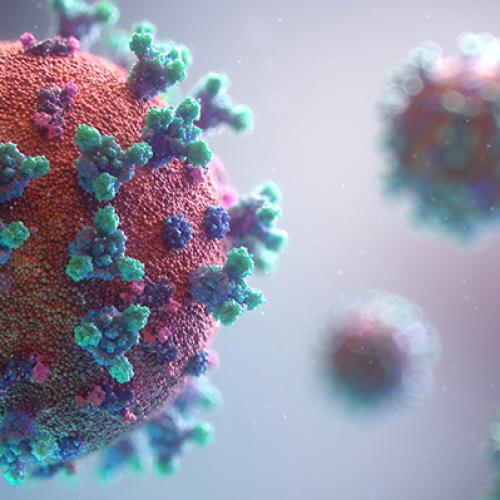 ACT declares Greater Brisbane a coronavirus hotspot
