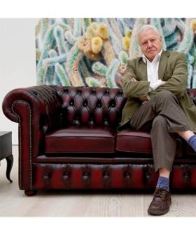 Sir David Attenborough Reveals A Big Change To His Life In Shock Interview