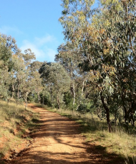 3 Breathtaking Walking Trails in Canberra
