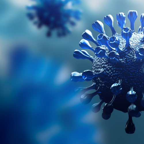 No COVID patients in ICU amid small spike in cases