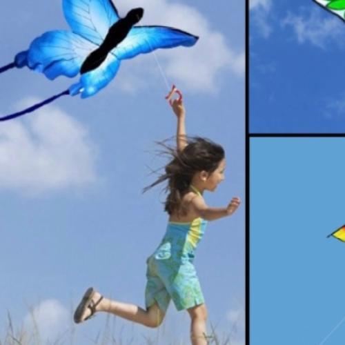 Canberra Kite Festival Back This Weekend