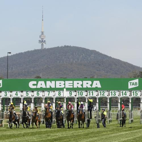 Punters return to the track for Melbourne Cup in Canberra