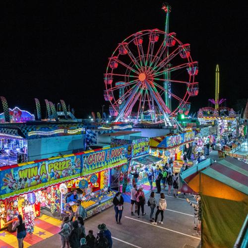 Royal Canberra Show confirms its return in 2022