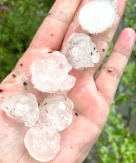 Additional crew join the Belconnen storm cleanup