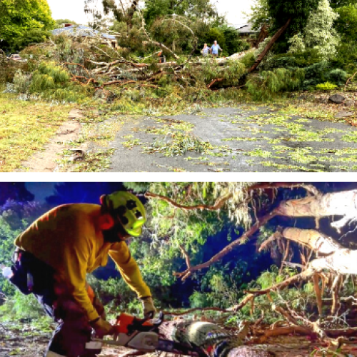 Cleanup continues, thousands still without power following freak storm