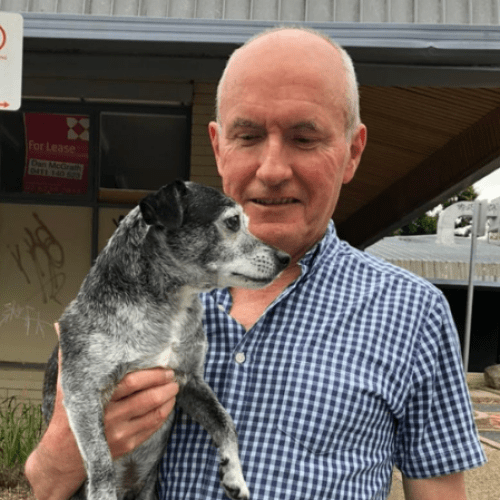 Samson the missing dog found safe