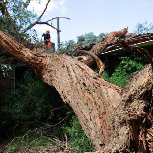 Calls for inquiry into Belconnen storm clean-up