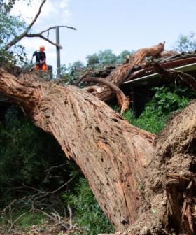 Calls for inquiry into Belconnen storm clean-up