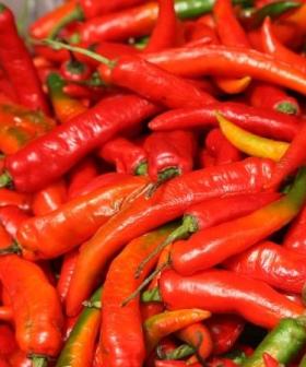 Canberra's First Ever Chilli Festival Is Happening This Weekend