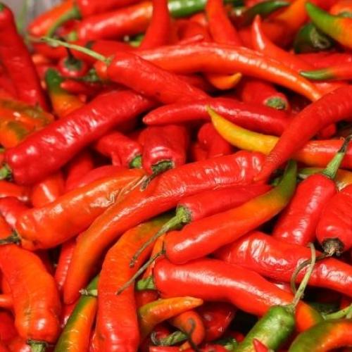 Canberra's First Ever Chilli Festival Is Happening This Weekend
