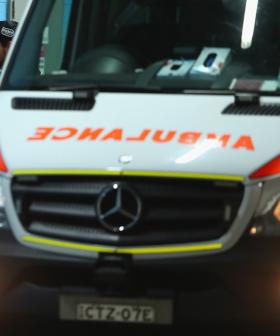 Swimmer killed in Sydney's first Shark Attack in almost 60 years