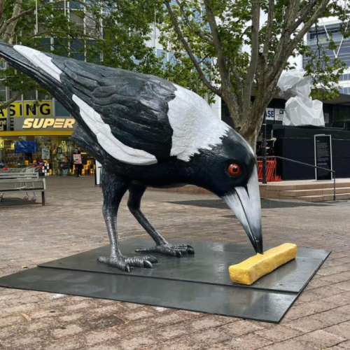 Giant magpie sculpture unveiled in Canberra