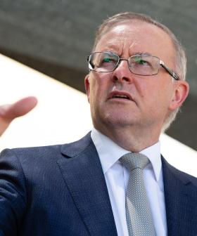 Anthony Albanese To Start Campaign From Isolation After Testing Positive To COVID-19