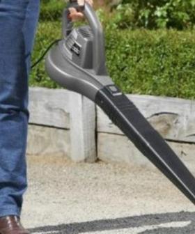 Bunnings Recall Leaf Blower Over Electric Shock Concerns
