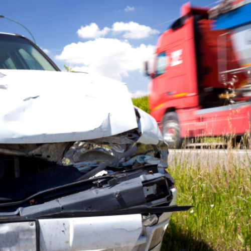 Canberra's top animal crash locations revealed