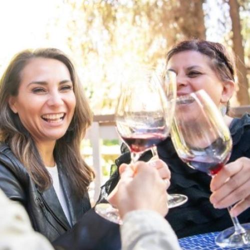 Canberra's Taste Local Festival Has Begun