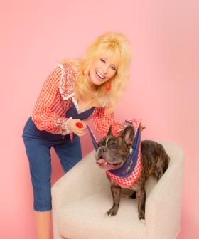 Dolly Parton Just Released A Fashion Label For Dogs