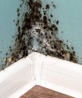 Renters urged to check for mould, as La Nina hits for a third time