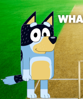 Bluey’s Dad Bandit has another job: Rod investigates