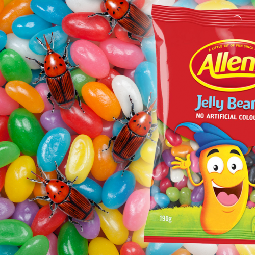 There’s No Bugs In Allen’s Jelly Beans Anymore…