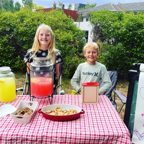 Lemonade stand stolen from Yarralumla front yard