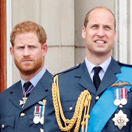 Prince Harry Claims He Was Born In Case His Brother Needed An Organ Transplant