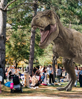 Dinosaurs set to invade Haigh Park!