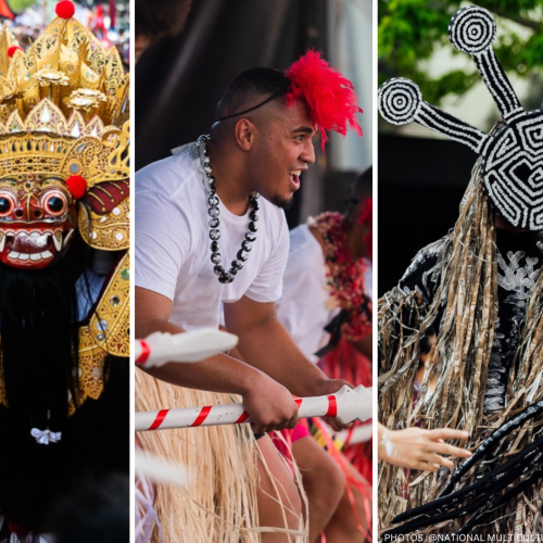 The Multicultural Festival is here!