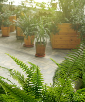 Should you include an atrium in your home?