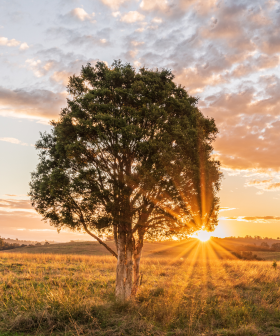 City dwellers still making move to Murrumbateman and Yass region