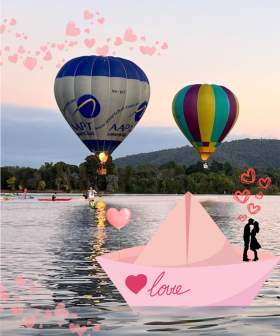 Kristen & Nige's Love Boats