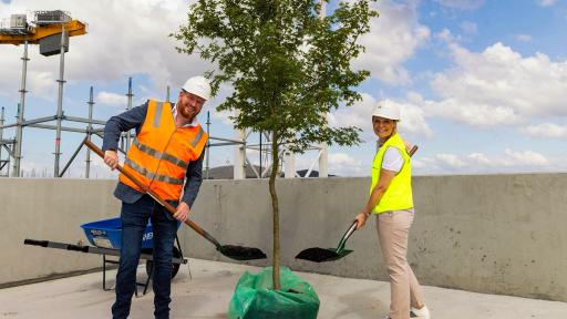 WHAT DOES “TOPPING OUT” MEAN?