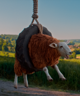 Mix 106.3 Presents The Sheep Detectives