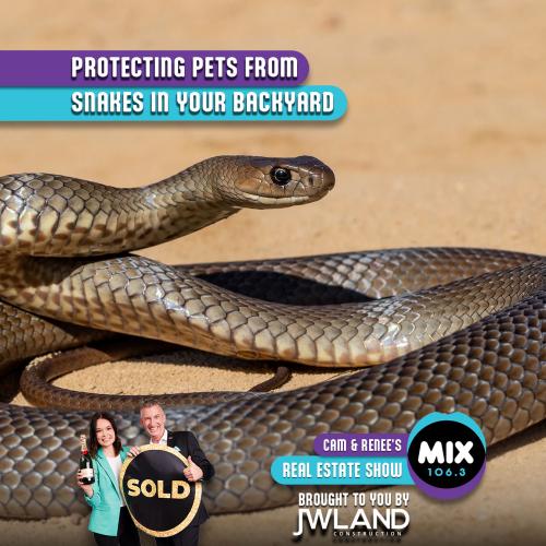 PROTECTING PETS FROM SNAKES IN YOUR BACKYARD
